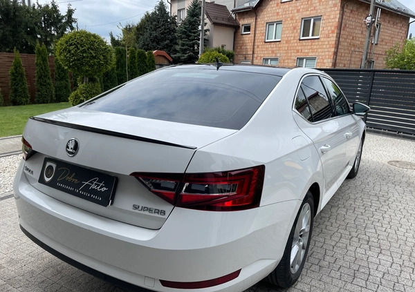 Skoda Superb cena 79900 przebieg: 153000, rok produkcji 2019 z Brzeszcze małe 781